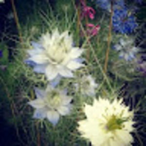 Meet your Posher, Mj